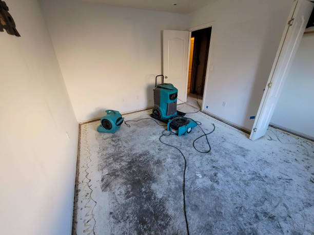 Best Flood restoration services  in Millersburg, OR