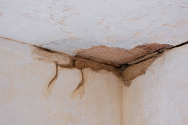Best 24-hour water damage restoration  in Millersburg, OR